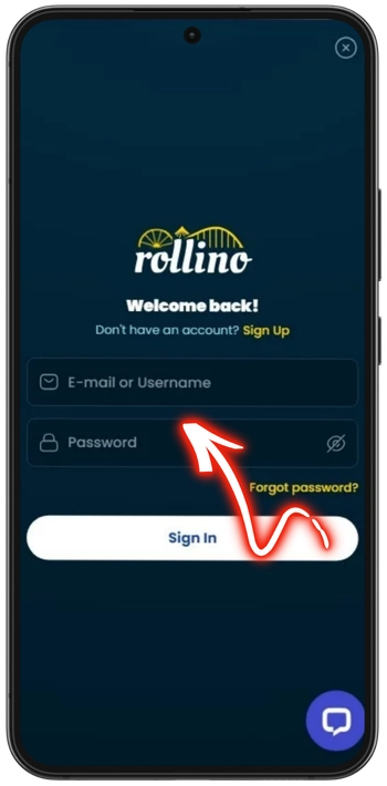 Email and password Rollino login form